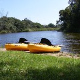 Kayak Rentals
